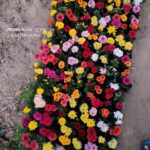 WhatsApp Image 2025-08-10 at 15.50.23